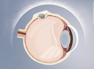 环亚集团·AG88(中国游)官方网站